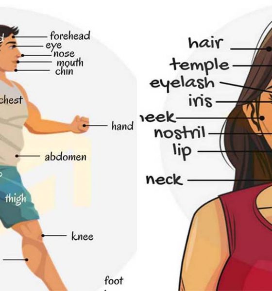 संक्षिप्त रूपे Archives जिके इन मराठी